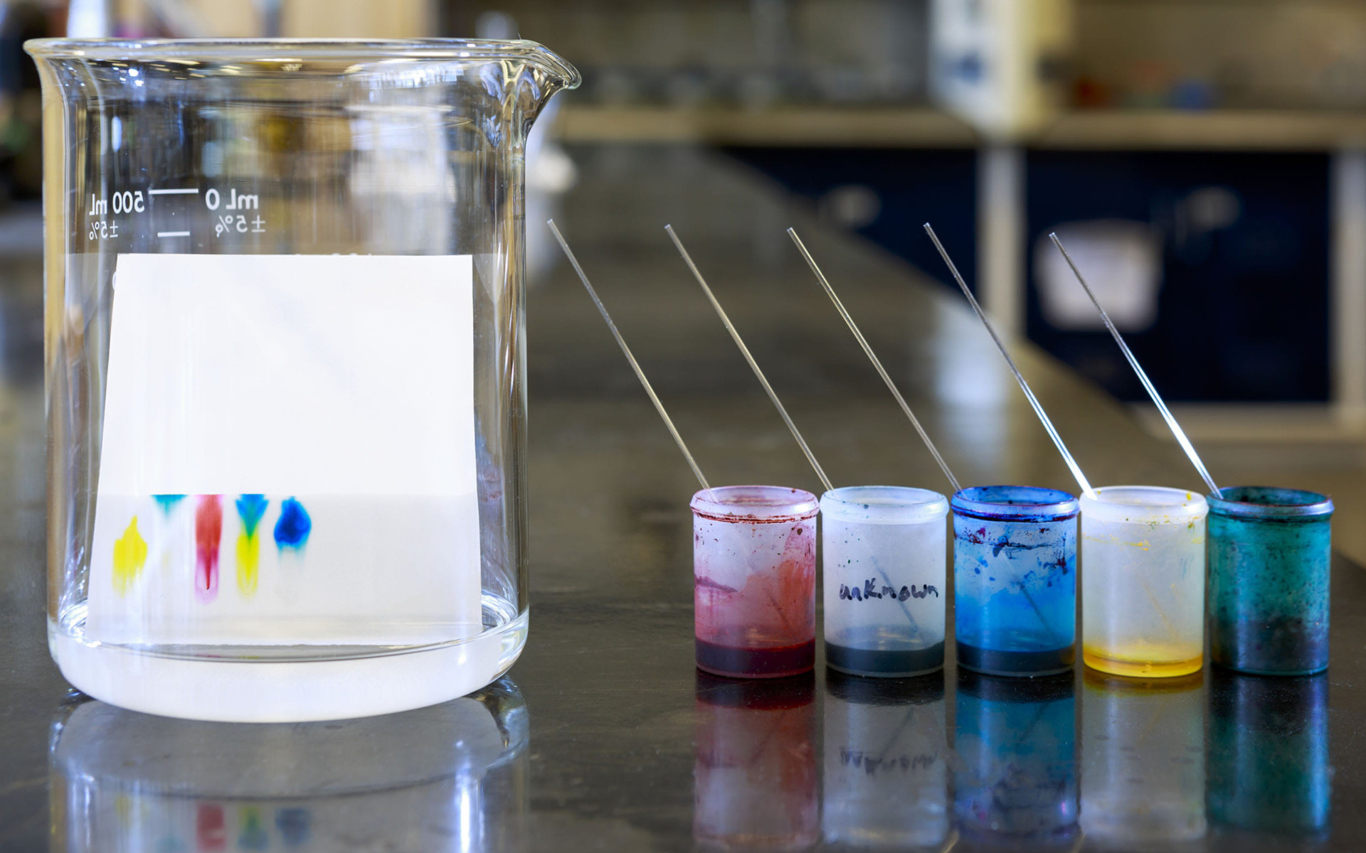 paper-chromatography