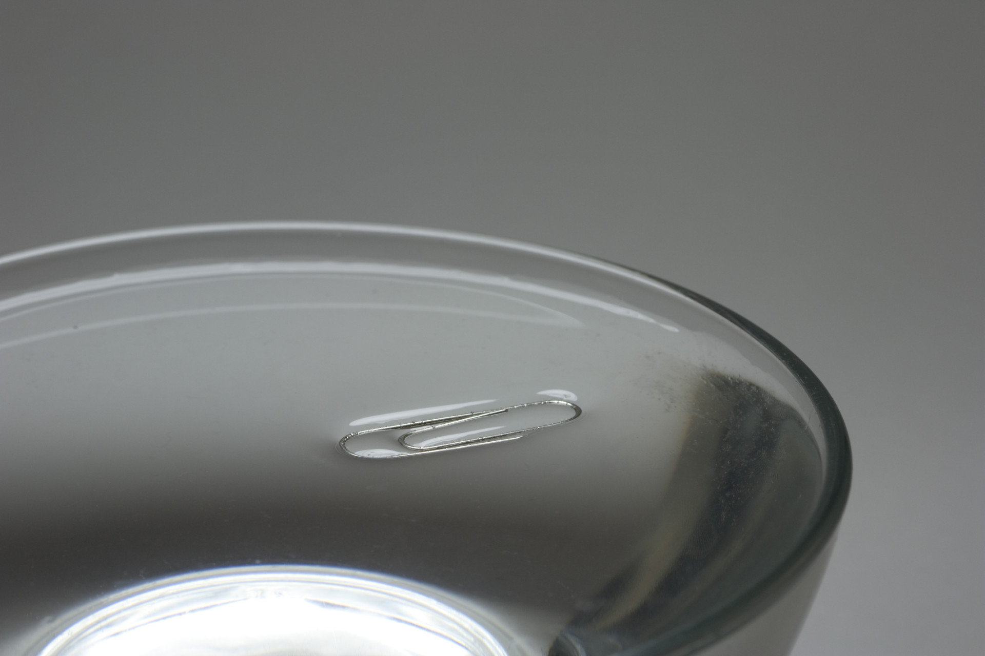 water-surface-tension